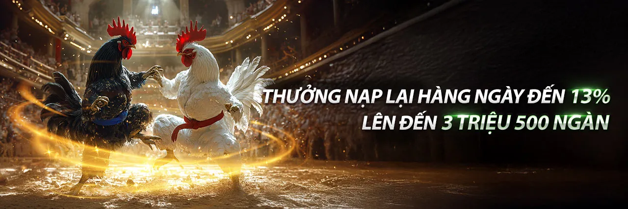 Hình ảnh nền đăng ký thomo đá gà với các ưu đãi hấp dẫn